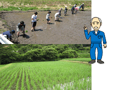 兵庫県での廃車引取りを担当する会社の活動