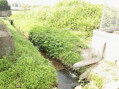 富山県での廃車引取りを担当する工場の取り組み