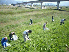 愛媛県での廃車引取りを担当する会社の活動